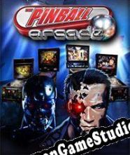 The Pinball Arcade (2012/ENG/Português/License)